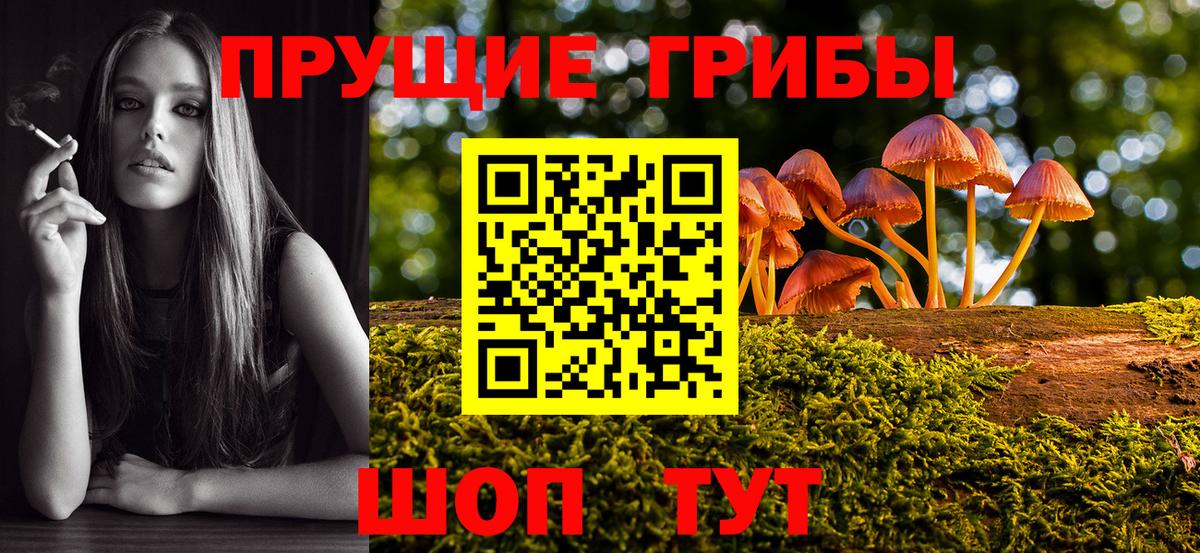 Галлюциногенные грибы ЛСД Воркута