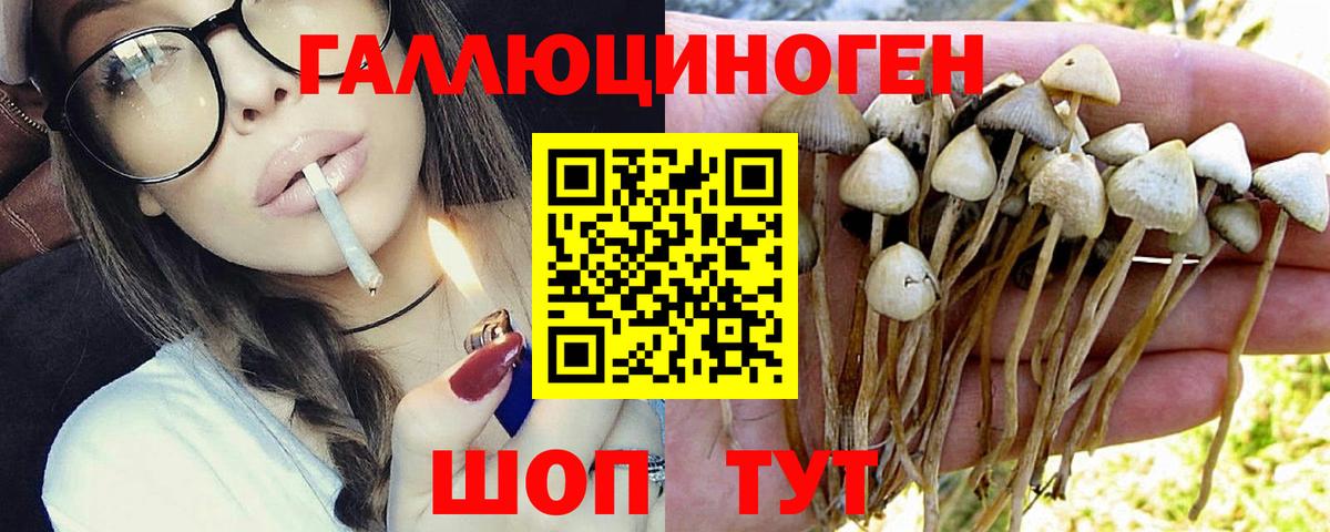 Галлюциногенные грибы прущие грибы  Вход с VPN  Галлюциногенные грибы мицелий  Воркута 