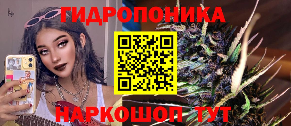 Бошки Шишки семена Воркута